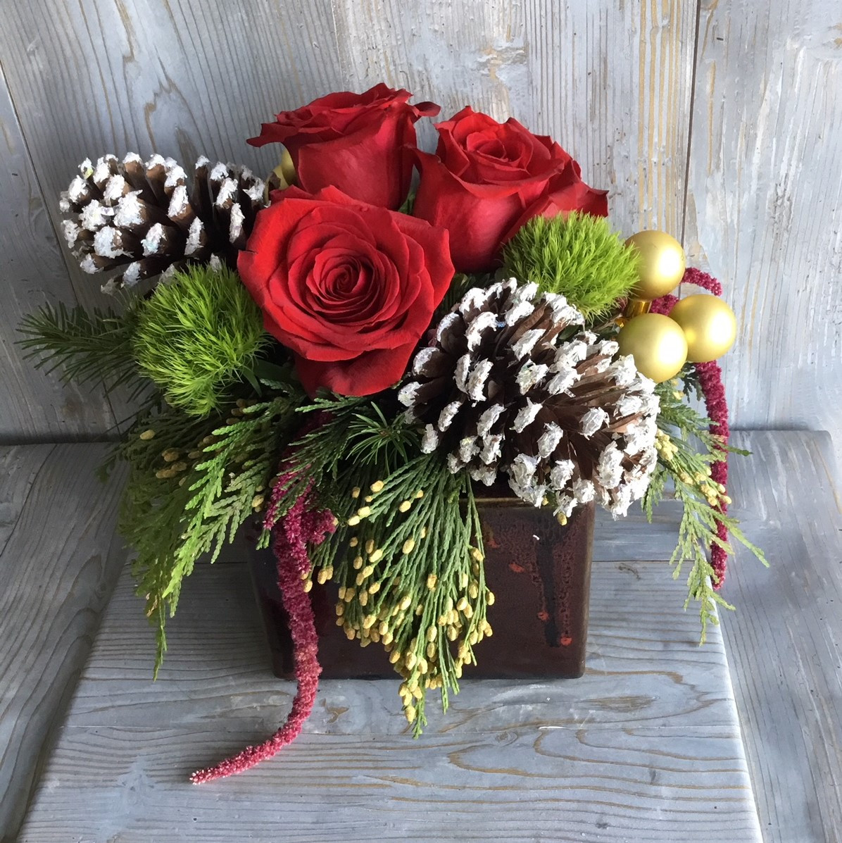 Red Rose and Pine Cone